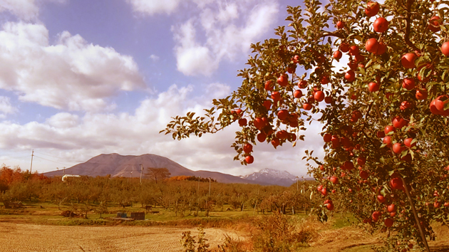 sustainable farming