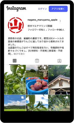 instagram