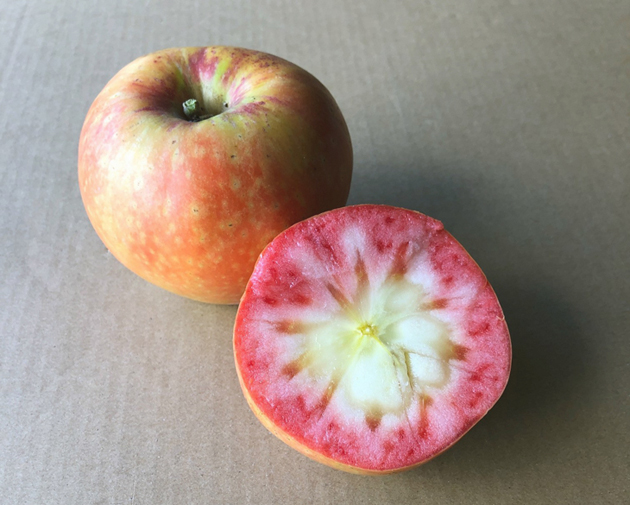 Granny Smith